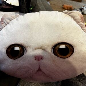 Pet Face on a Pillow!!White Cat Face Plush Pillow